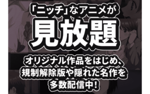 アニメフェスタはニッチなアニメが見放題！