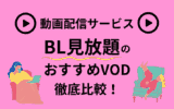 【決定版】BL(ボーイズラブ)見放題のオススメ動画配信サービス9選！選び方のポイントも解説